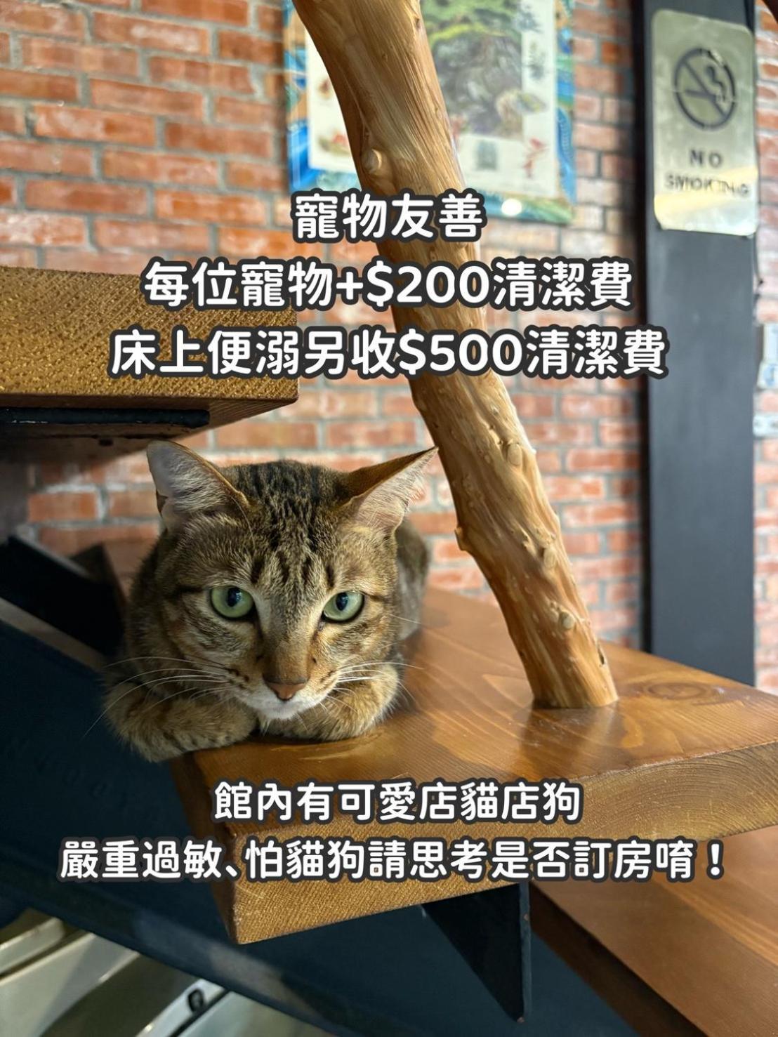 缽割貓點點 青旅 Diandian Hostel Puli Bagian luar foto